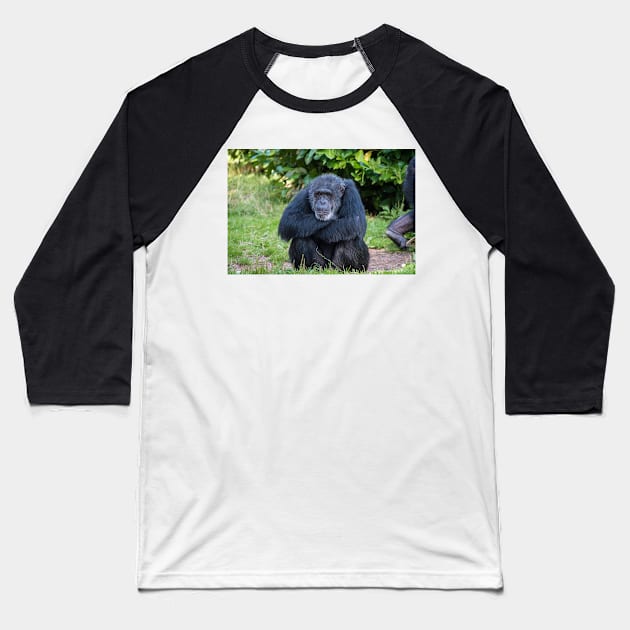 Chimpanzee Baseball T-Shirt by Russell102